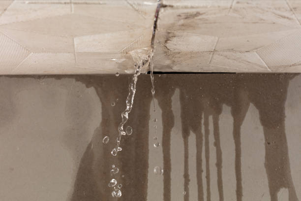 Professional Structural Drying technician working in Knapp, WI